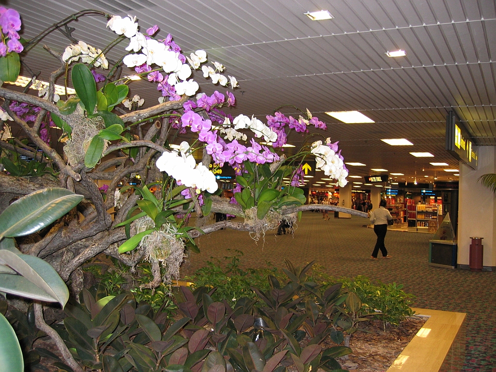 Cairns06 Changi Airport.jpg